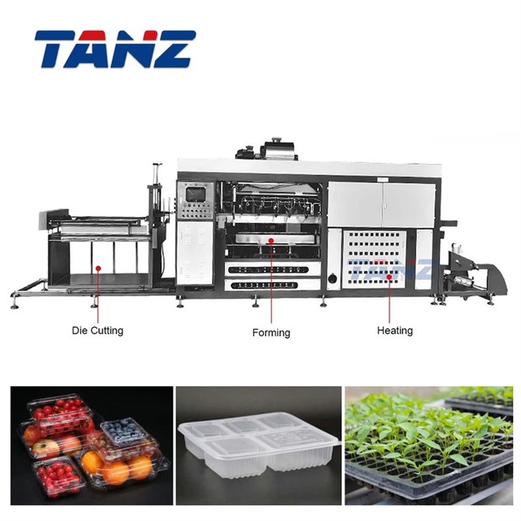 Taizhang High Speed Plastic Food Container Fruit Box Trays Thermoforming Machine